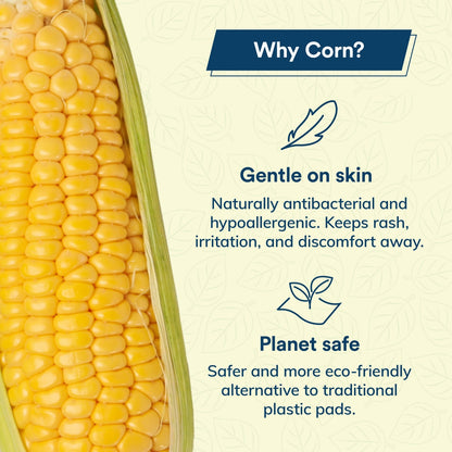 Daun Sirih Corn Longer Liner 18cm